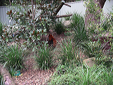 imgp1468