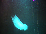 imgp1624