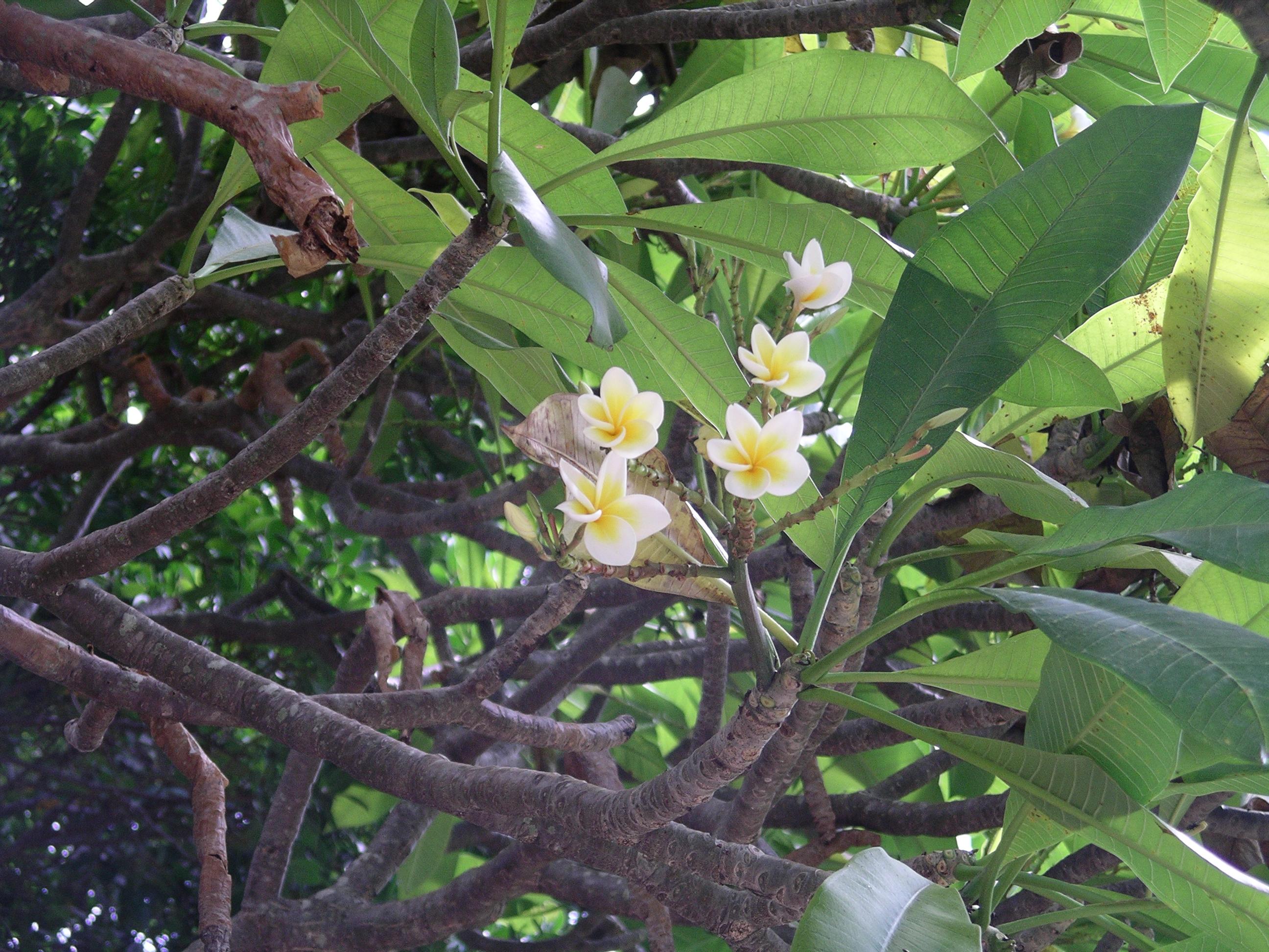 imgp1656.jpg