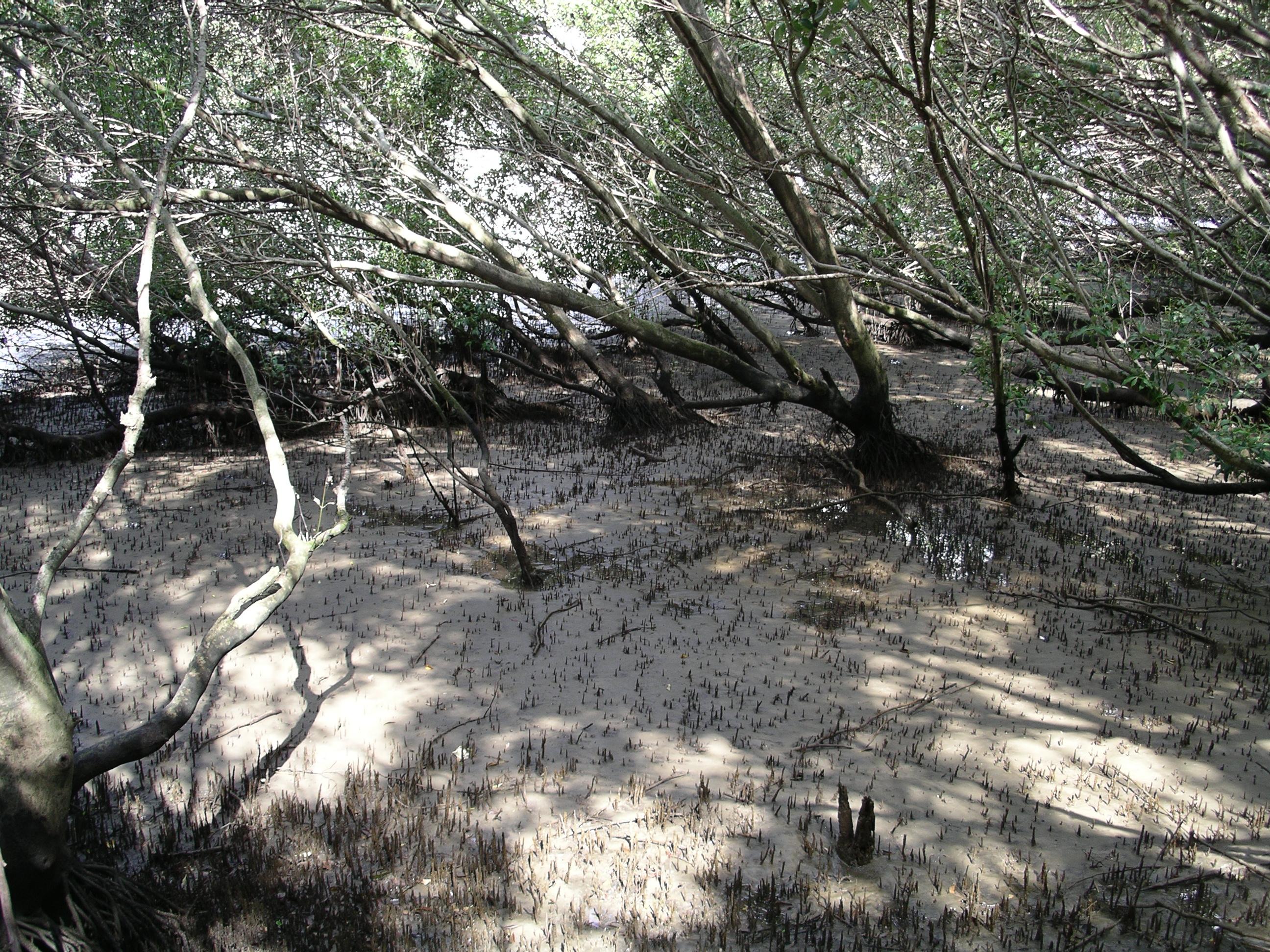 imgp1670.jpg