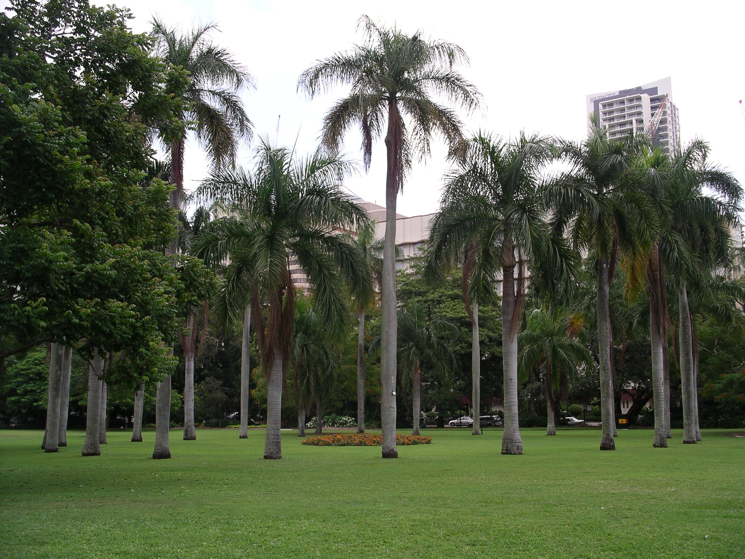 imgp1695.jpg