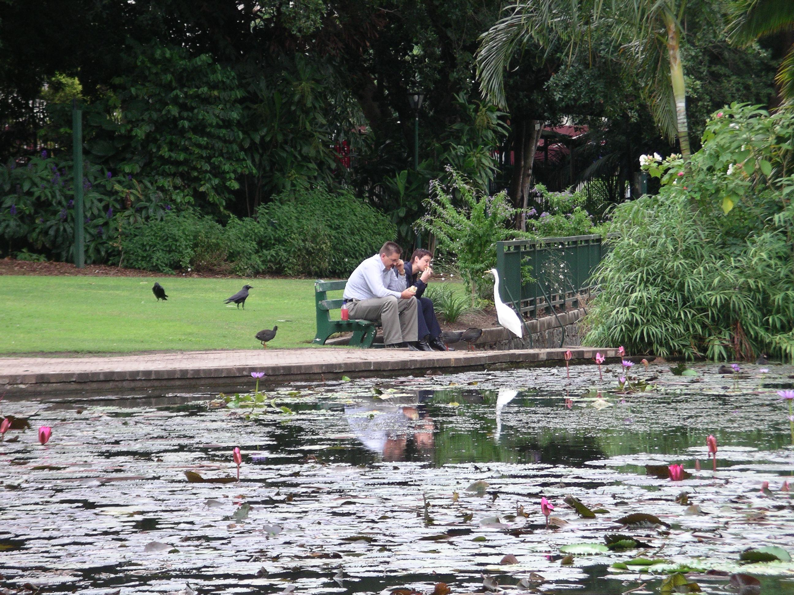 imgp1699.jpg