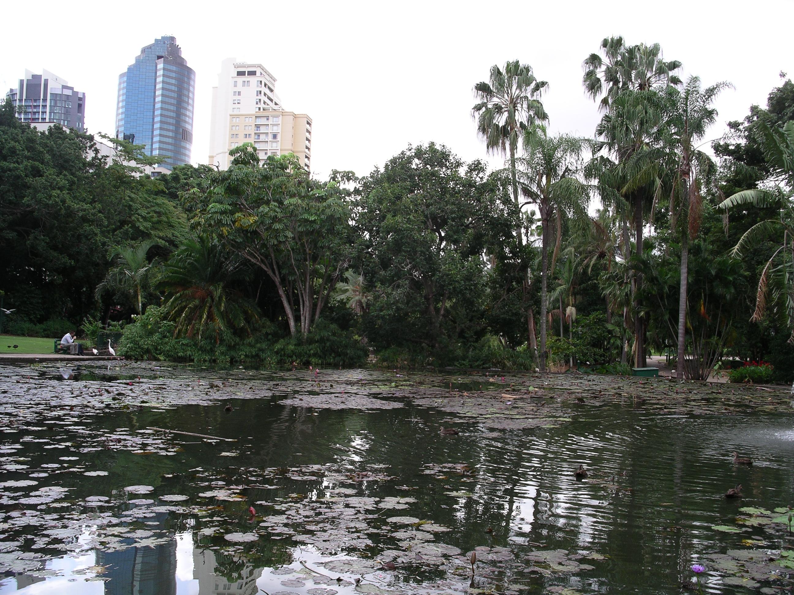 imgp1704.jpg