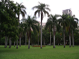 imgp1695