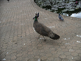 imgp1702