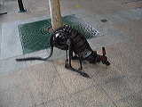 imgp1721