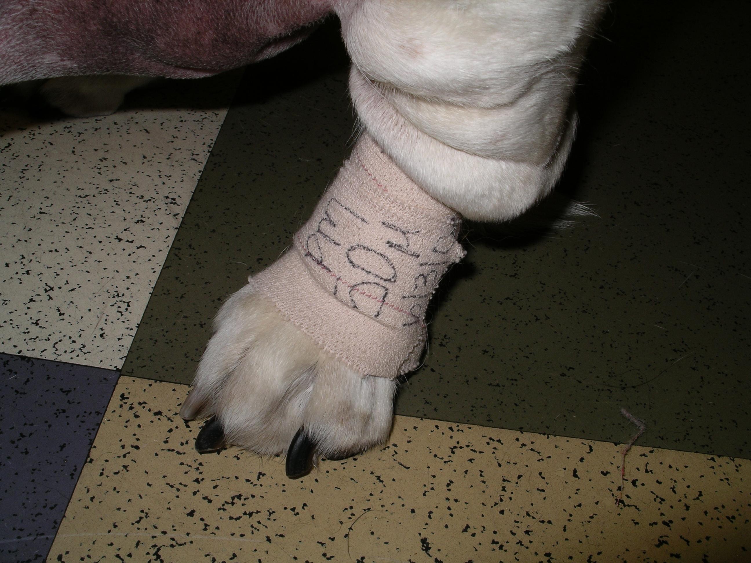 imgp1894.jpg