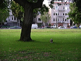 imgp1925
