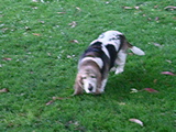 imgp1934