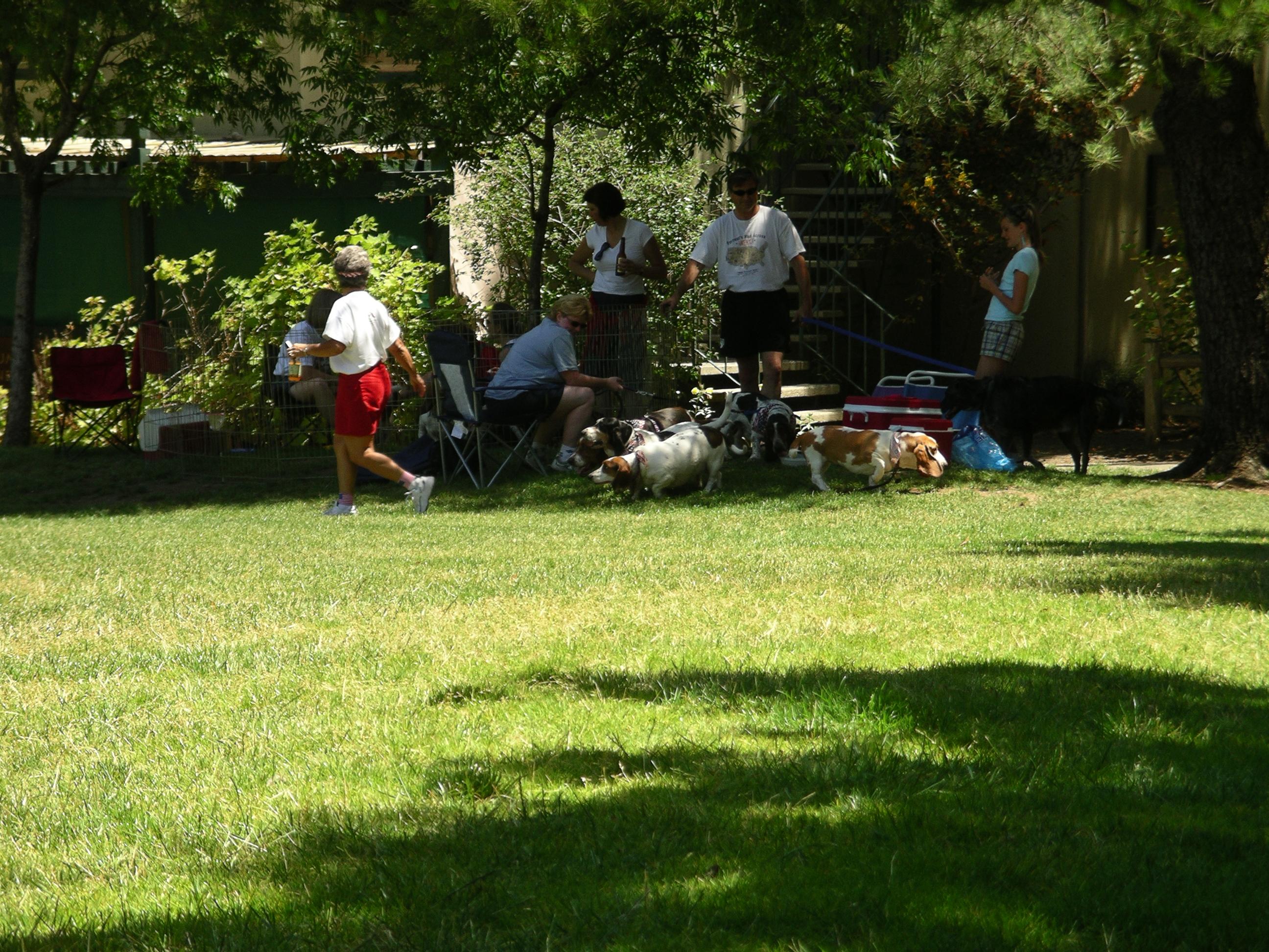 imgp2003.jpg