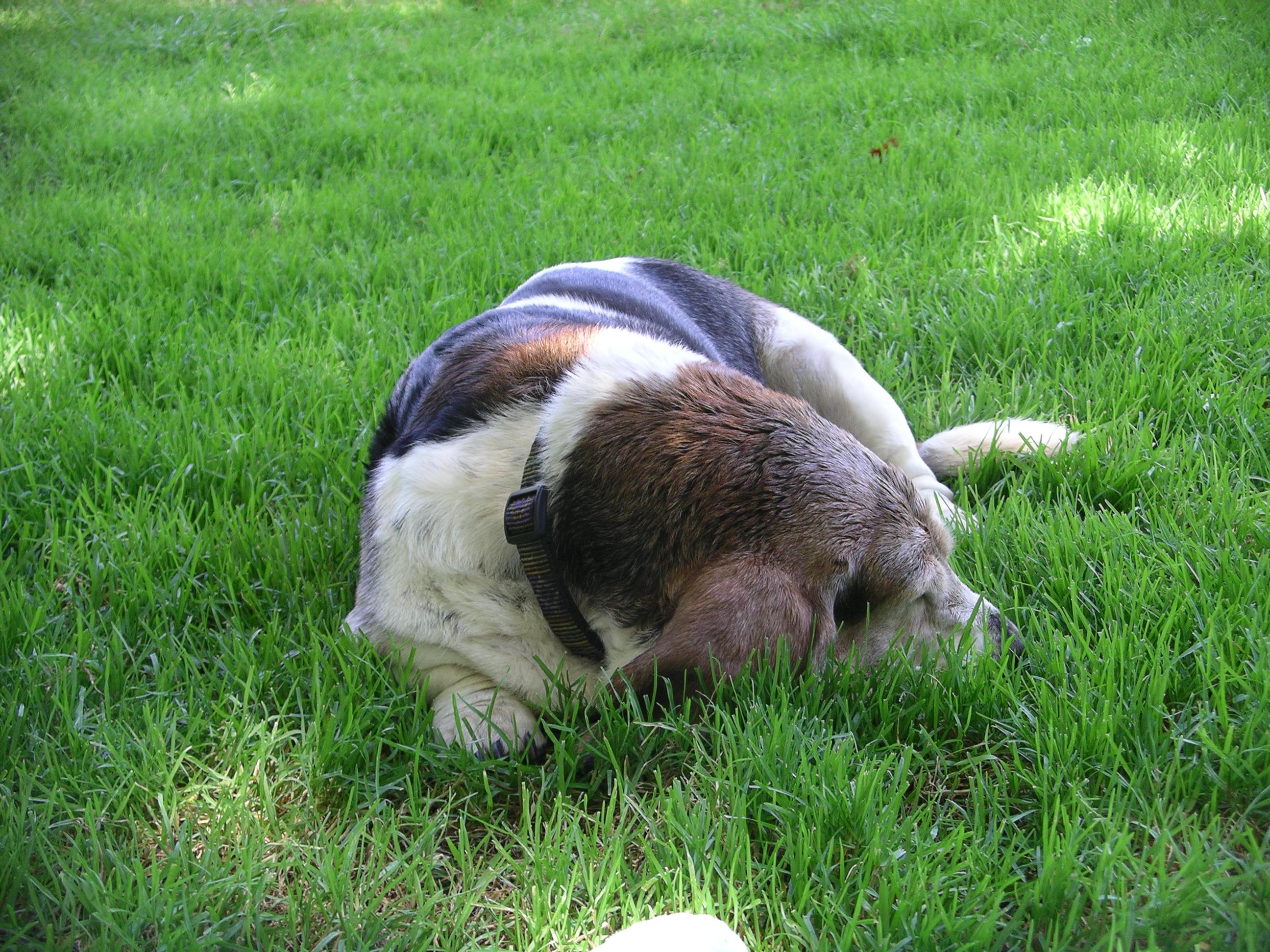 imgp2004.jpg