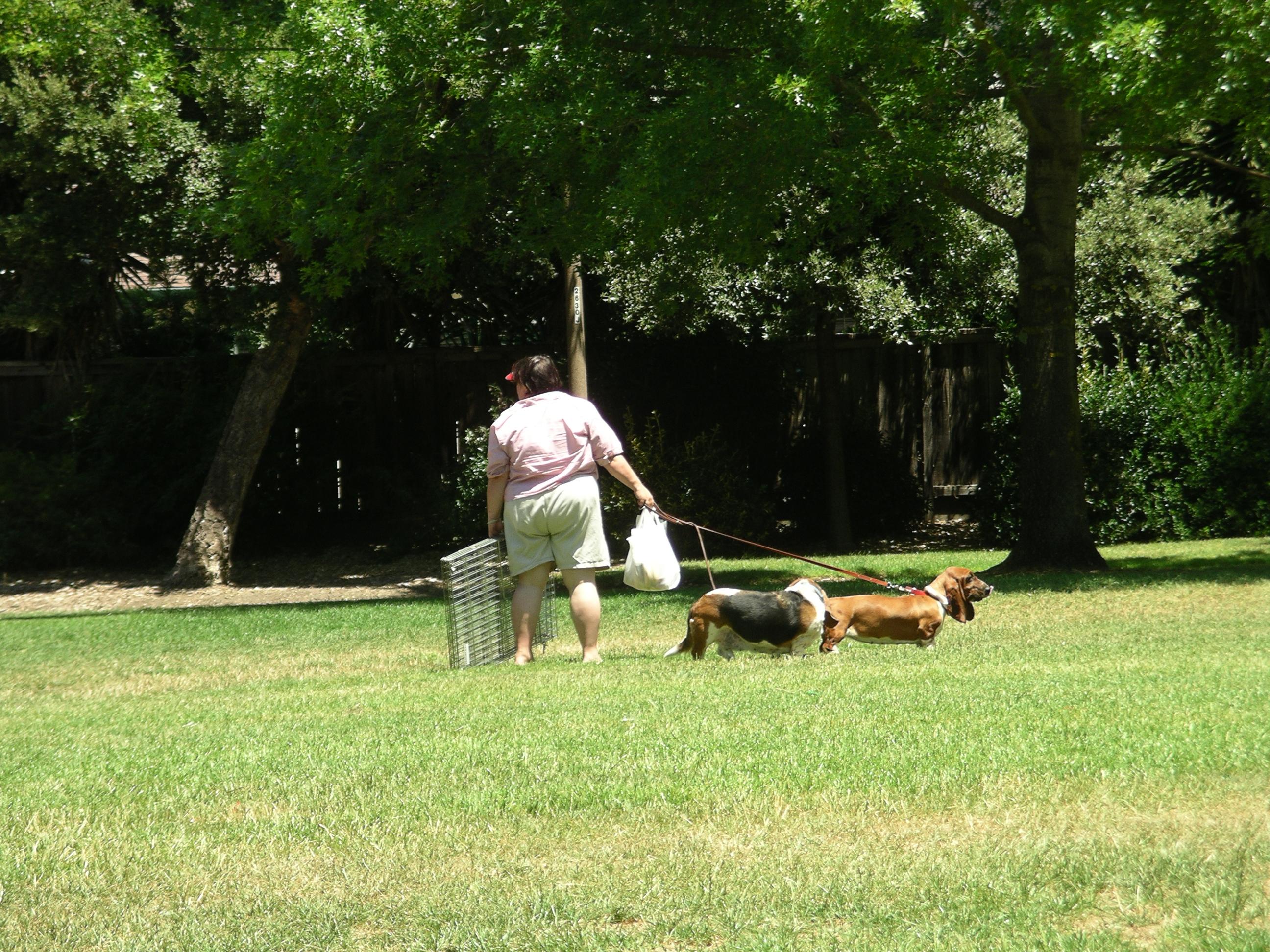 imgp2008.jpg