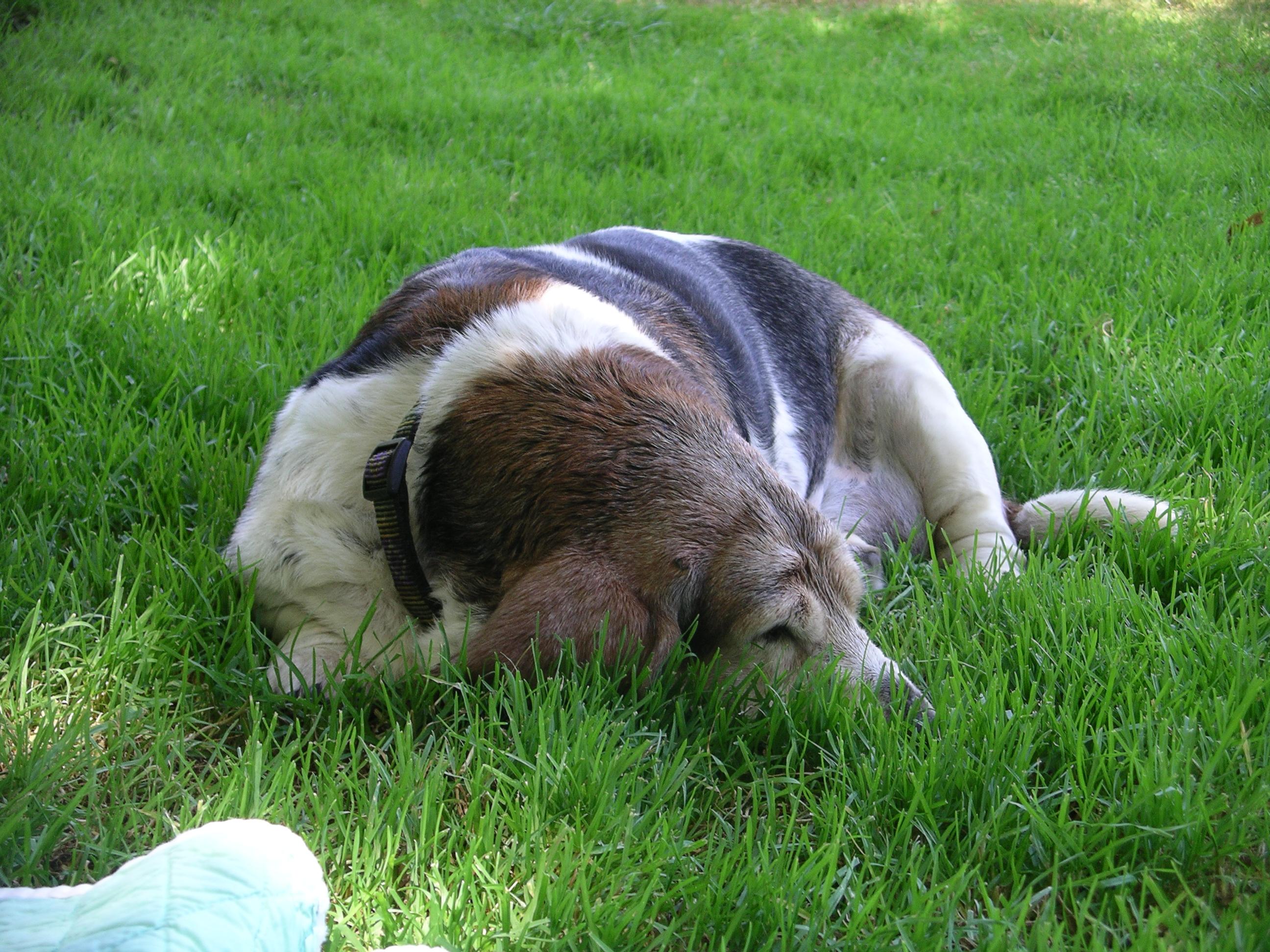 imgp2009.jpg