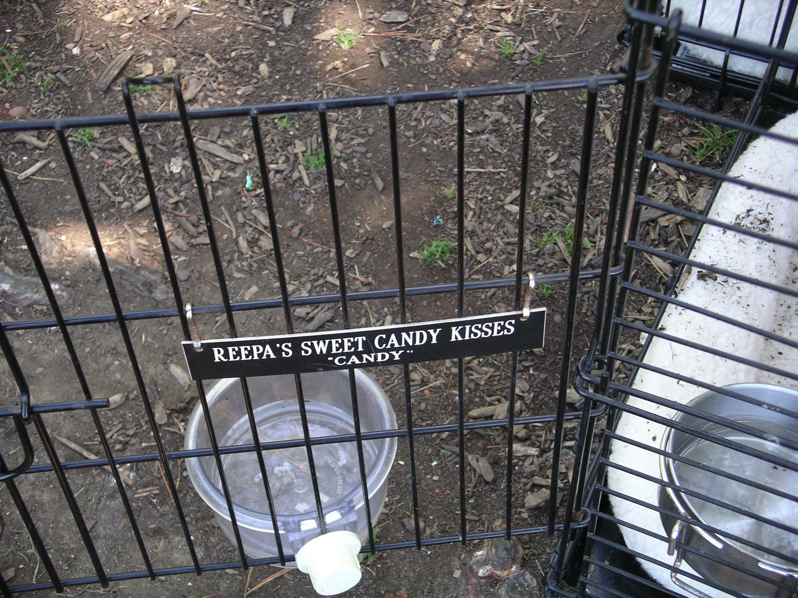 imgp2023.jpg