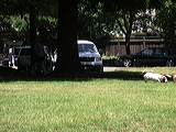 imgp1989