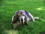imgp1998