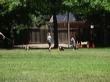 imgp1999