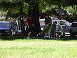 imgp2000