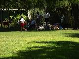 imgp2003