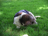 imgp2004