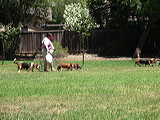 imgp2005