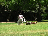 imgp2008