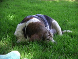 imgp2009