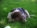 imgp2010