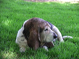 imgp2011