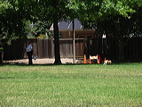imgp2015
