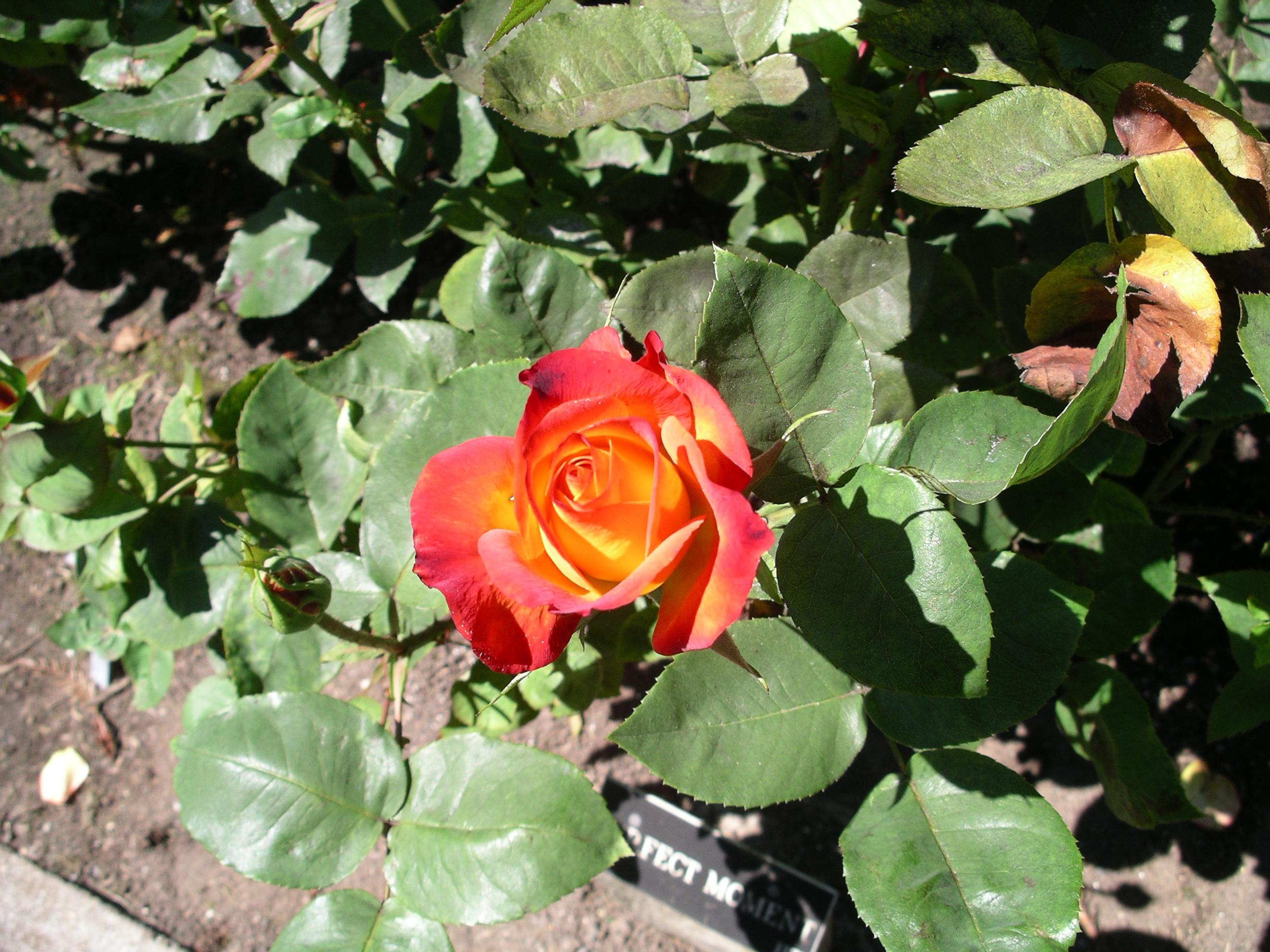 imgp2095.jpg
