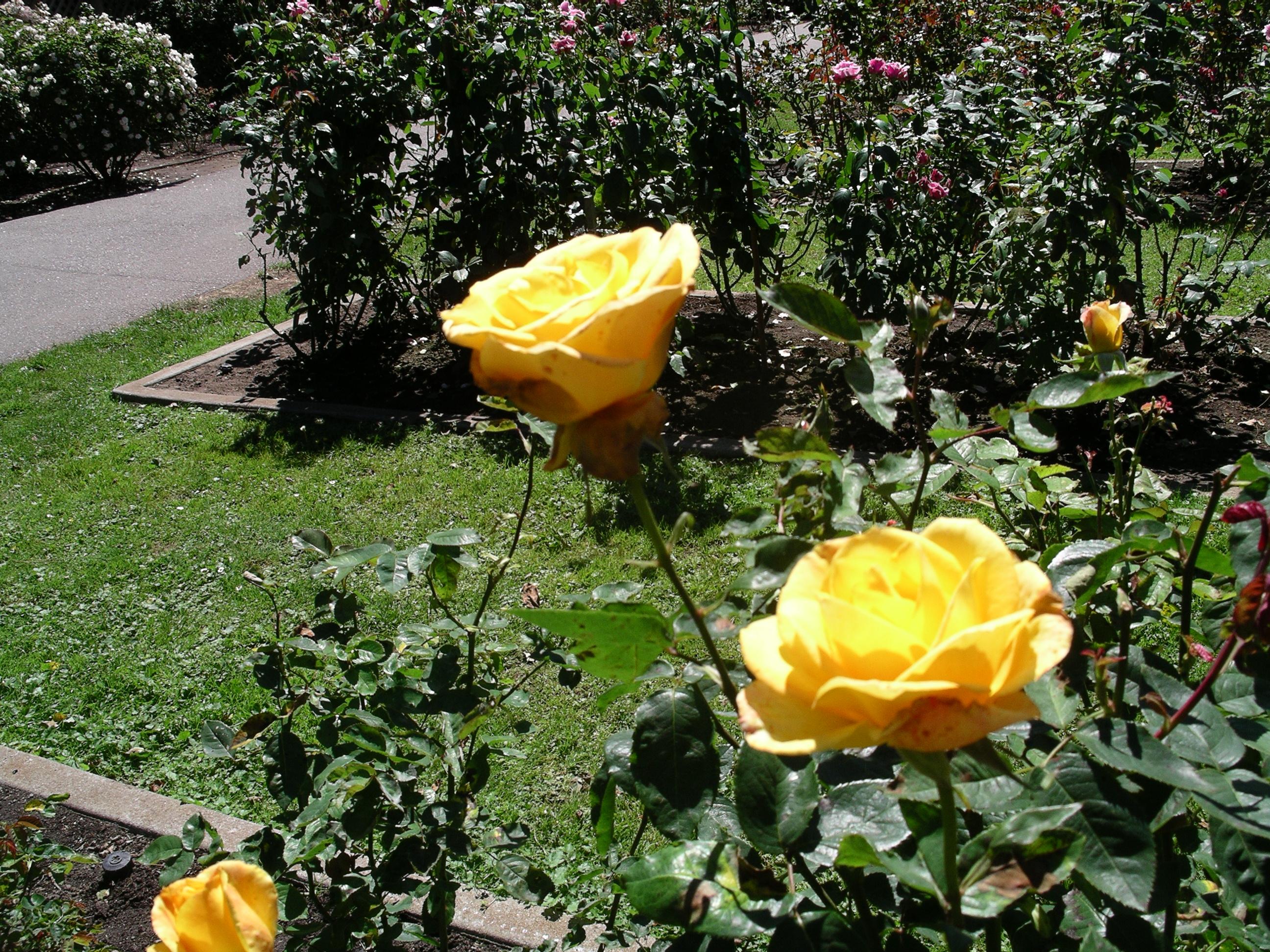 imgp2097.jpg