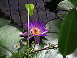 imgp2087