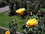 imgp2097