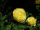 imgp2098