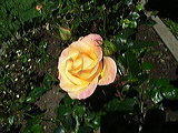 imgp2102