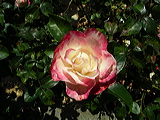 imgp2105