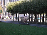 imgp2159