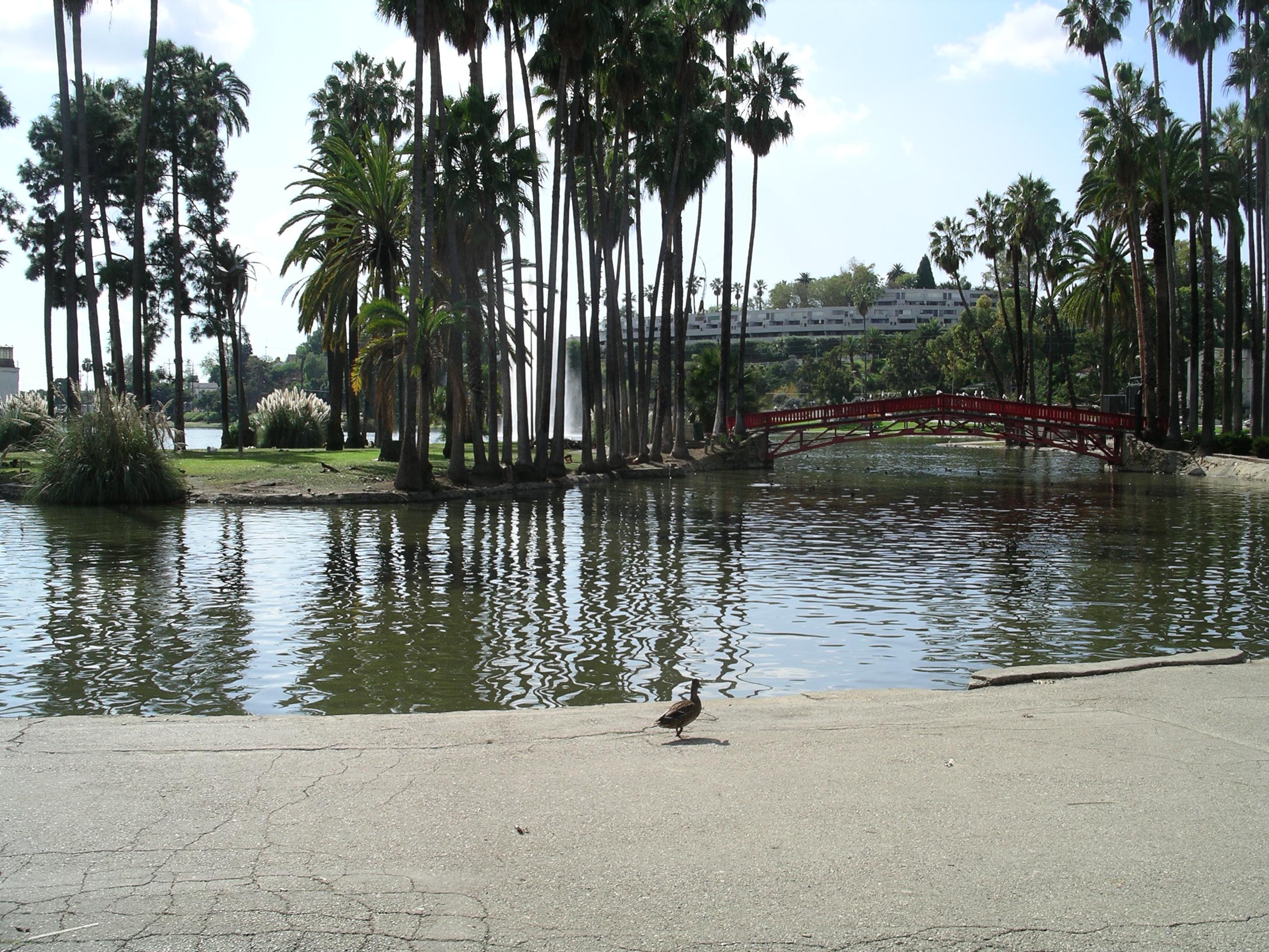 imgp2394.jpg