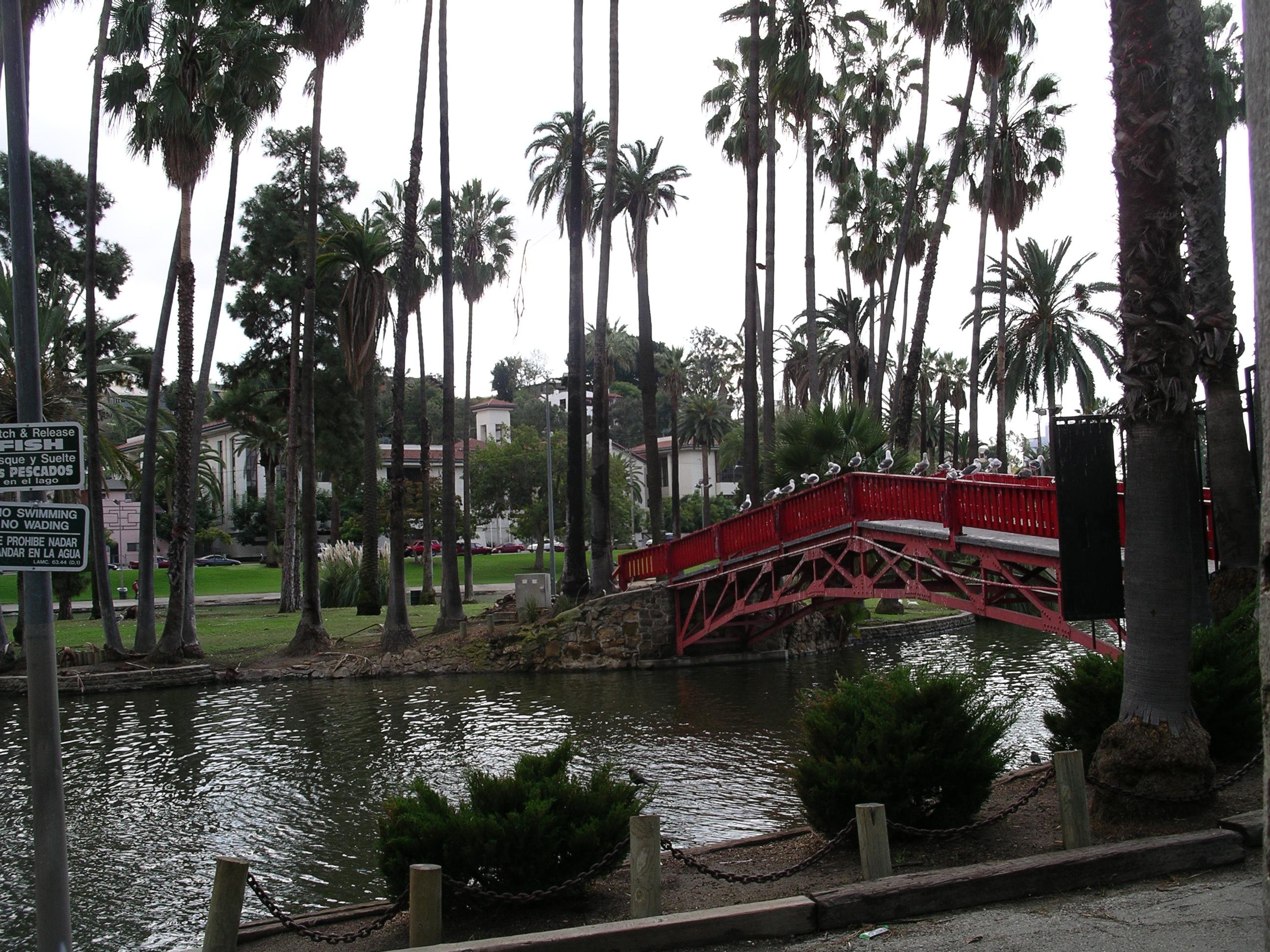 imgp2398.jpg