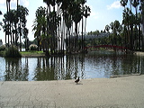 imgp2394