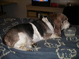 imgp2407