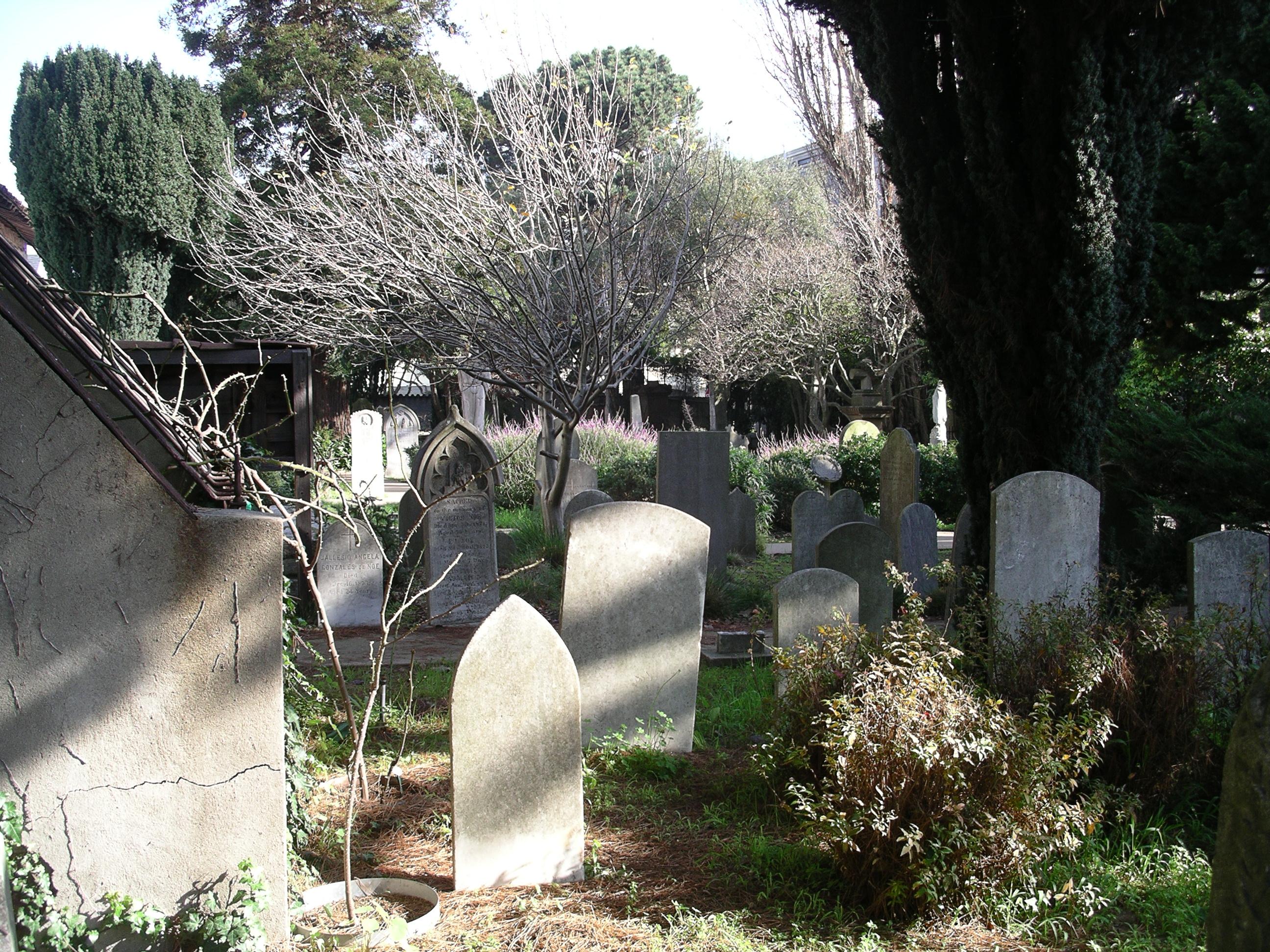 imgp2621.jpg