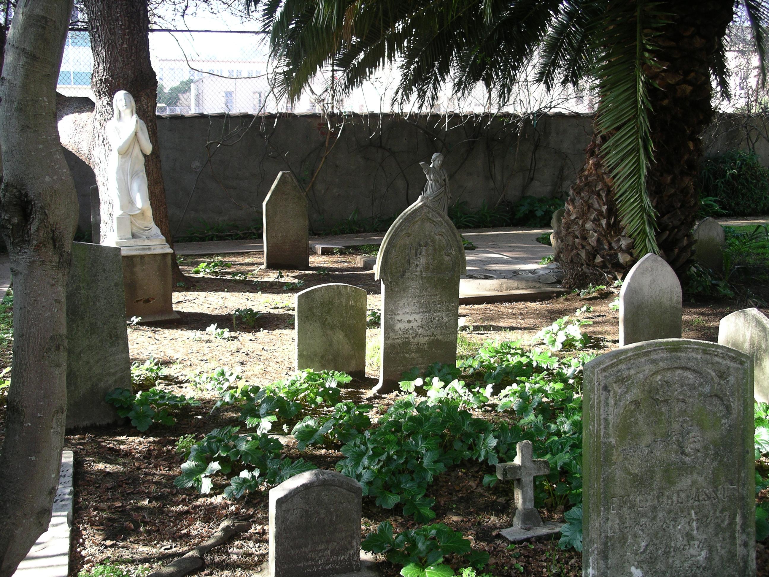 imgp2622.jpg