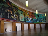 imgp2599