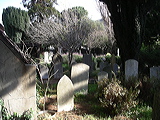 imgp2621