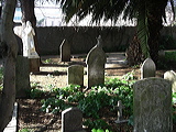 imgp2622