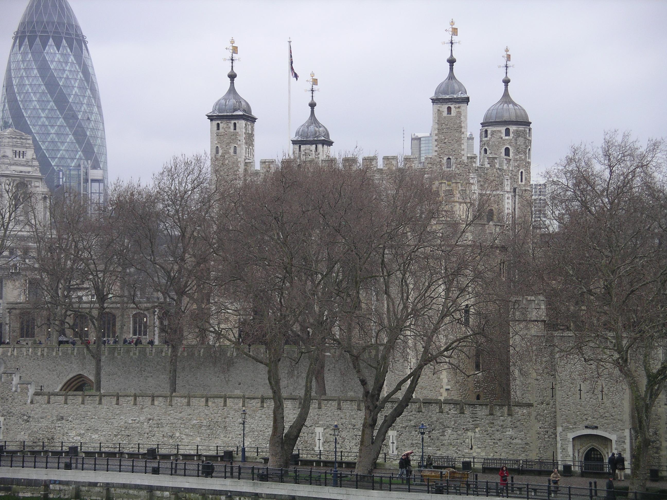 imgp2811.jpg