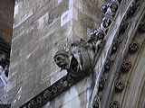 imgp2952