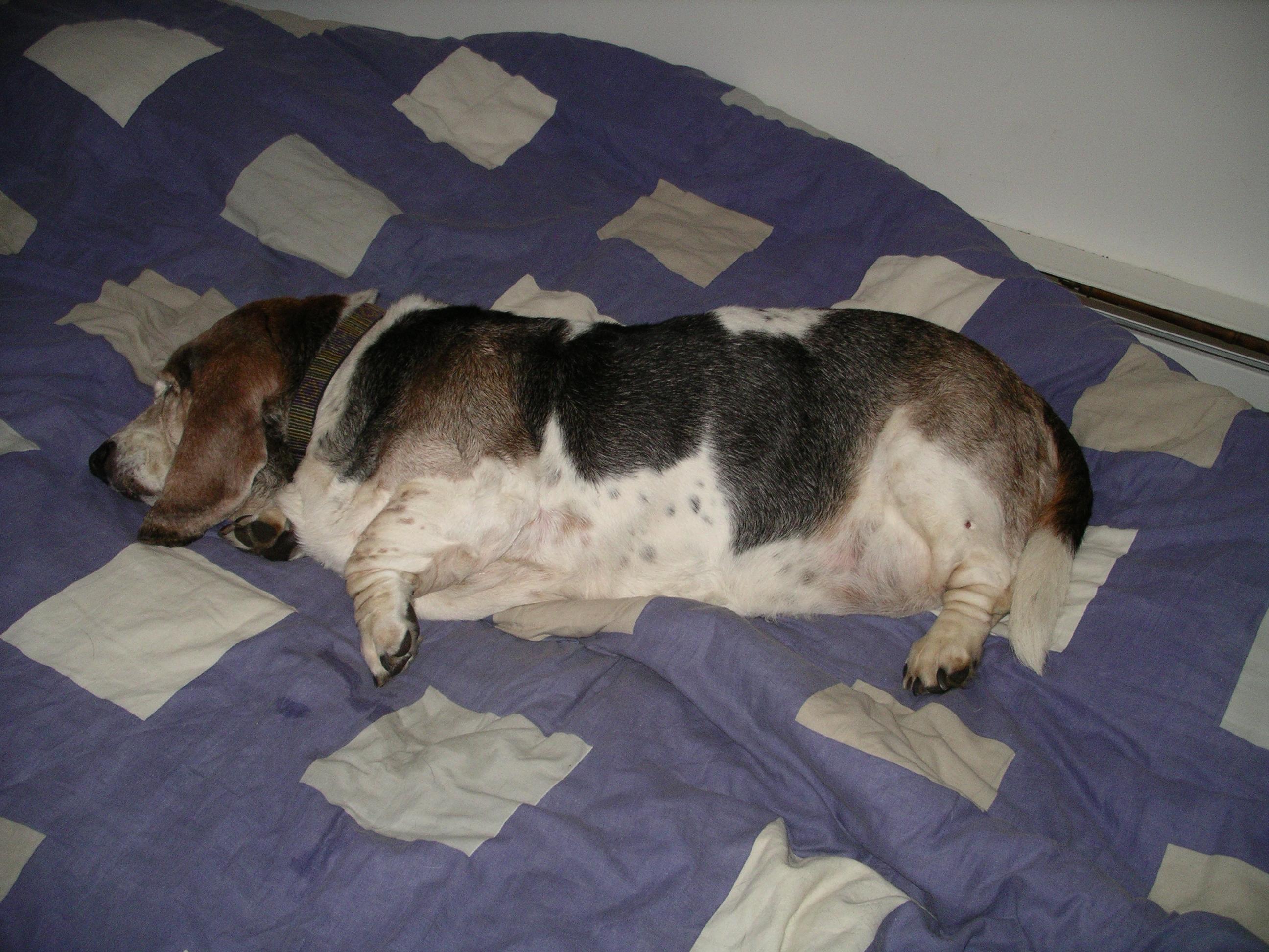 imgp3004.jpg